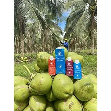Palmdream Coconut Water | No Sugar Added, Electrolytes Boost