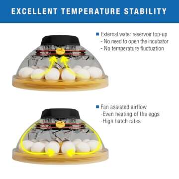 Brinsea Maxi 24 Egg Incubator - Advanced Hatching Control