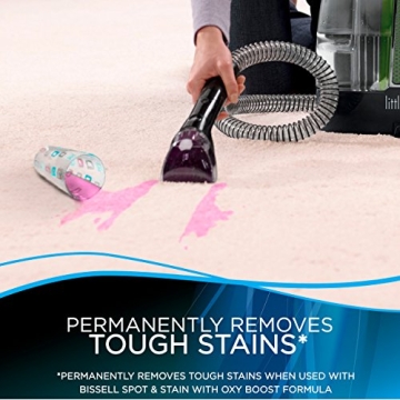 Bissell Little Green ProHeat Portable Carpet Cleaner