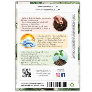Seed Needs Green Globe Artichoke Seeds for Planting - Non-GMO, Heirloom & Untreated - Organically Gr...