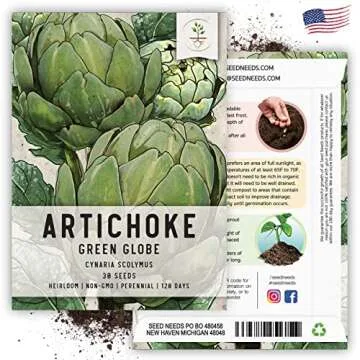 Seed Needs Green Globe Artichoke Seeds for Planting - Non-GMO, Heirloom & Untreated - Organically Grow an Outdoor Vegetable Garden for Home Grown Produce (2 Packs)