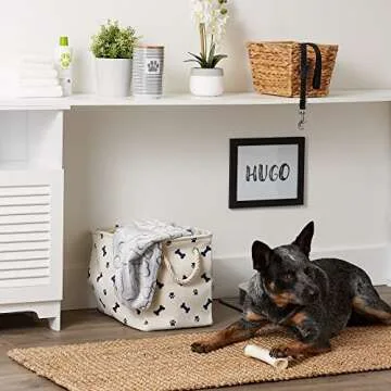 Bone Dry Small Rectangle Pet Storage Bin - Stylish & Durable