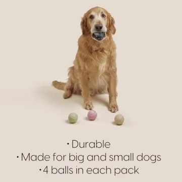 Durable Reese+Murphy Dog Tennis Balls for All Dogs