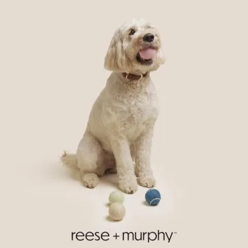 Durable Reese+Murphy Dog Tennis Balls for All Dogs