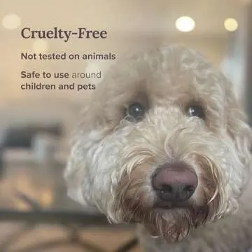 Magnificent 101 Set of 3 Long Lasting Palo Santo Smudge Candles, 42 Hour Burn - 3.5 Oz Each, Made with Soy Wax and Herb, Ideal for House Energy Cleansing, Meditation & Manifestation