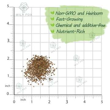 Premium Culantro Seeds – 3,000+ Non-GMO Heirloom Seeds - High-Yield, Authentic Flavor & Easy Growi...