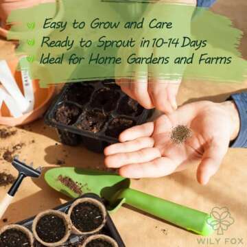 Buy Non-GMO Premium Culantro Seeds - Easy to Grow & Flavorful