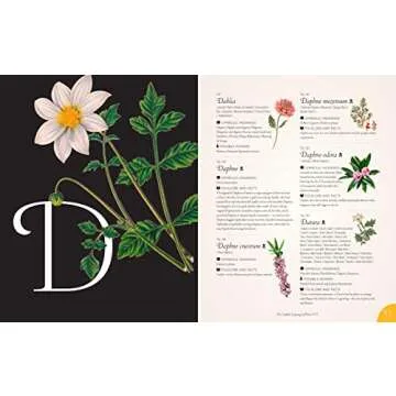 The Complete Language of Flowers: A Definitive and Illustrated History (Volume 3) (Complete Illustrated Encyclopedia, 3)