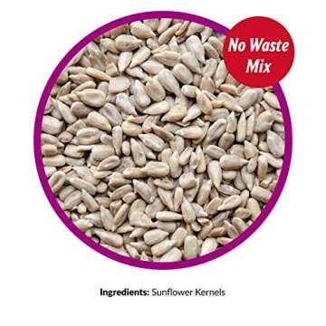 Lyric Sunflower Kernels Wild Bird Food 25 lb No Waste