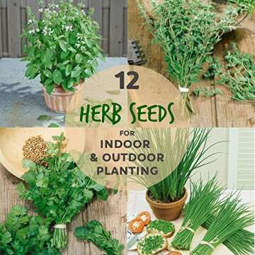 12 Culinary Herb Seeds Assortment - Non-GMO Herb Garden Starter Set - Grow Cooking Herbs: Parsley, T...
