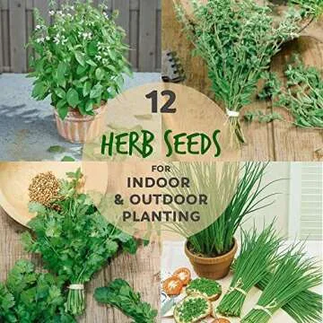 12 Culinary Herb Seeds Assortment - Non-GMO Herb Garden Starter Set - Grow Cooking Herbs: Parsley, T...