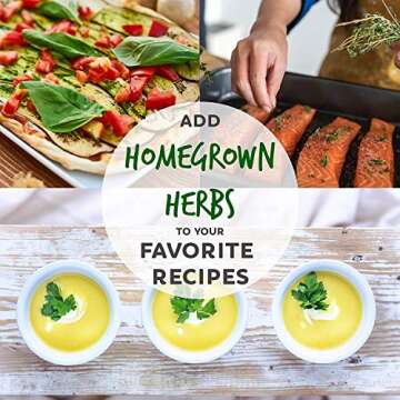 12 Culinary Herb Seeds Assortment - Non-GMO Herb Garden Starter Set - Grow Cooking Herbs: Parsley, Thyme, Cilantro, Basil, Dill, Oregano, Sage & More