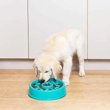 ZippyPaws Happy Bowl - Slow Feeder for Healthy Dogs