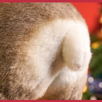 Soft Realistic Moose Stuffed Animal for Kids and Home Decor