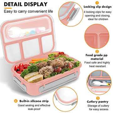 Creative 4 Compartment Bento Box for Kids & Adults