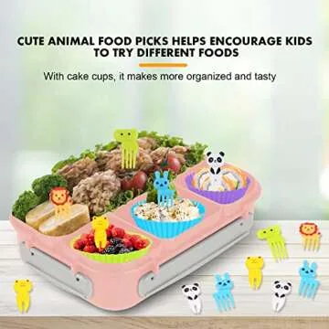 Creative 4 Compartment Bento Box for Kids & Adults