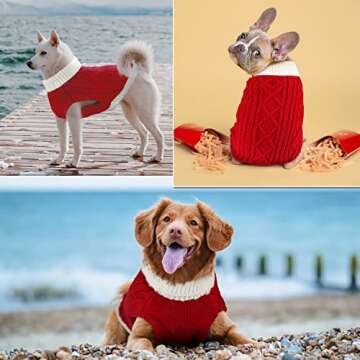 Small Dog Sweaters with Leash Hole Turtleneck Dog Sweaters Knitwear Boys Girls Warm Soft and High Stretch Pet Clothes for Fall Winter，Pet Shirts for Kitten Puppy Red Large