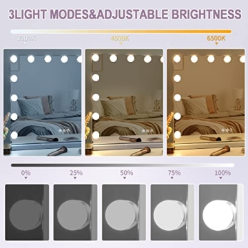 Fenair Vanity Mirror with USB Charger and Adjustable Lights