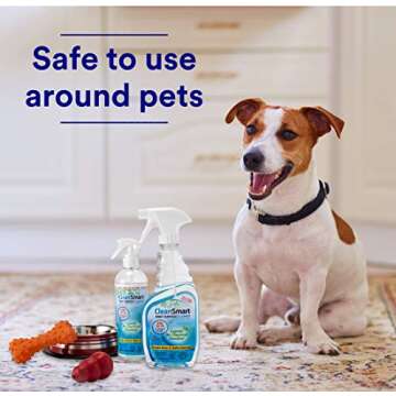 CleanSmart Daily Surface Cleaner and Pet-safe Disinfectant, Kills 99.9% of Viruses & Bacteria, 23 ounce Spray (pack of 2)