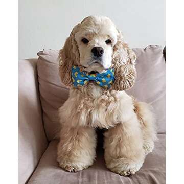 Huxley & Kent Bow Tie for Pets | Lucky Ducky (Small) | Easter Spring Bow Tie Collar Attachment | Fun Bow Ties for Dogs & Cats | Cute, Comfortable, and Durable | H&K Bow Tie