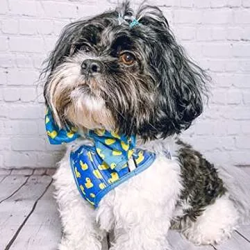 Huxley & Kent Bow Tie for Pets | Lucky Ducky (Small) | Easter Spring Bow Tie Collar Attachment | Fun Bow Ties for Dogs & Cats | Cute, Comfortable, and Durable | H&K Bow Tie