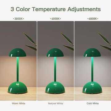 Lithomy Touch Dimmable Mushroom Table Lamp for Modern Decor