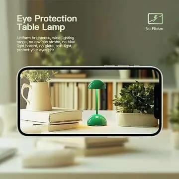 Lithomy Touch Dimmable Mushroom Table Lamp for Modern Decor