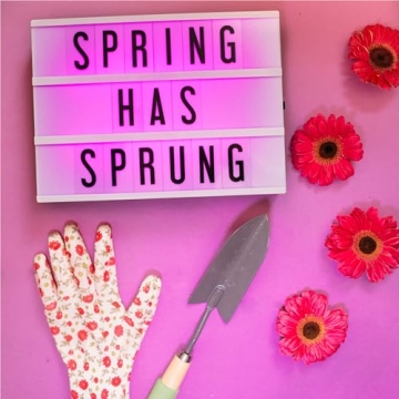 My Cinema Lightbox 12x9 Inches - Color Changing LED Sign