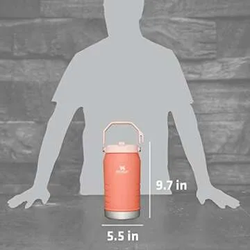 Stanley IceFlow 64oz Water Jug with Straw - Stay Hydrated
