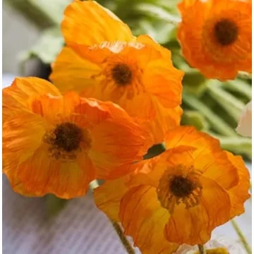 DUYONE Artificial Poppy Flowers - Versatile Home & Party Decor