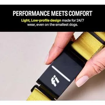 Fi Series 3 Smart Dog Collar - GPS Dog Tracker and Activity & Fitness Monitor, Waterproof, LED Light, Escape Alerts, Nationwide Coverage [Free 1 Year Membership] (Gray, Large)