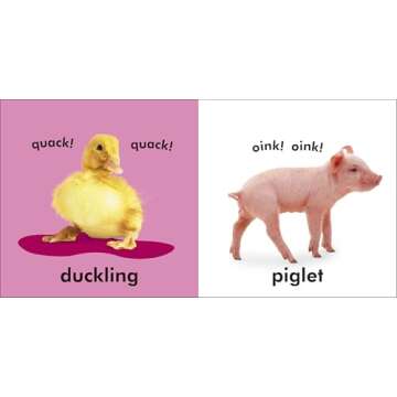 Baby Touch and Feel: Farm