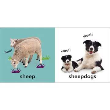 Baby Touch and Feel: Farm