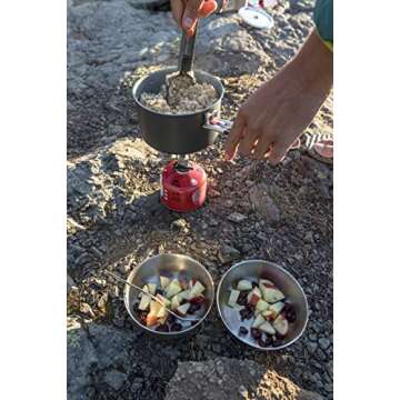 MSR Alpine Stainless Steel Nesting Camping Bowl,Silver