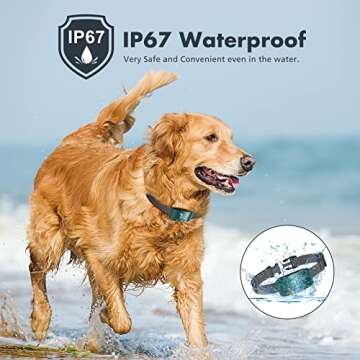 Humane NBJU Bark Collar for Dogs - Adjustable Training Device