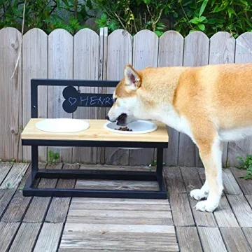 WANTRYAPET Adjustable Elevated Dog Bowls - Stylish Feeding Solution