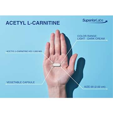 Superior Labs | Acetyl L-Carnitine 1000mg | 200 caps | Maximum Absorption | Pure Vegetable Capsules | Zero Synthetic Additives | Superior Absorption