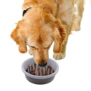 Dexas Slow Feeder Dog Bowl for Healthier Digestion 6 Cups