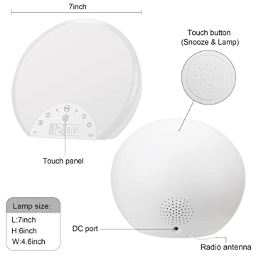 ANTDALIS Sunrise Alarm Clock with Dual Alarms and Light
