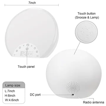 ANTDALIS Sunrise Alarm Clock with Dual Alarms and Light