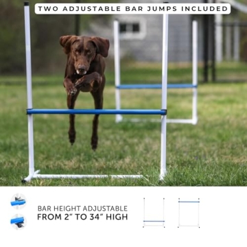Agility Course Set for Dogs - Versatile Training Equipment