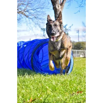 Agility Course Set for Dogs - Versatile Training Equipment