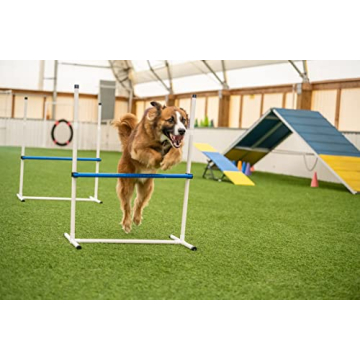 Agility Course Set for Dogs - Versatile Training Equipment