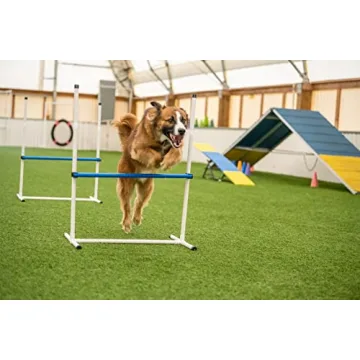 Agility Course Set for Dogs - Versatile Training Equipment