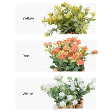 Velener Babys Breath