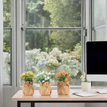 Velener Babys Breath