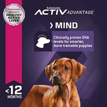 Eukanuba Large Breed Puppy Food for Healthy Growth 30 lb