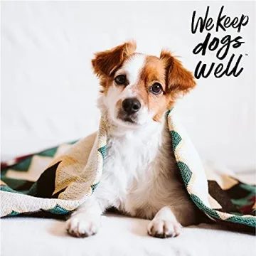 Remedy+Recovery Dog Liquid Bandage Spray for Fast Healing