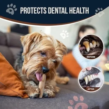 GOWGOW Natural Coffee Wood Chews for Dogs - XS 6.5"