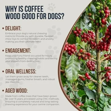 GOWGOW Natural Coffee Wood Chews for Dogs - XS 6.5"
